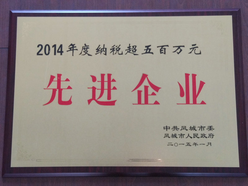 先進企業(yè) 2014.jpg